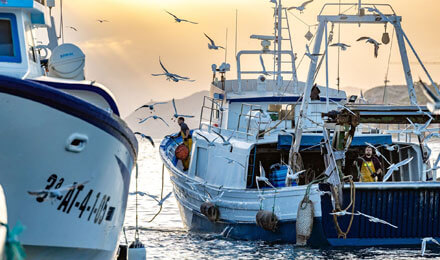 angeltourenspanien.de Villajoyosa: Besuch des Hafens